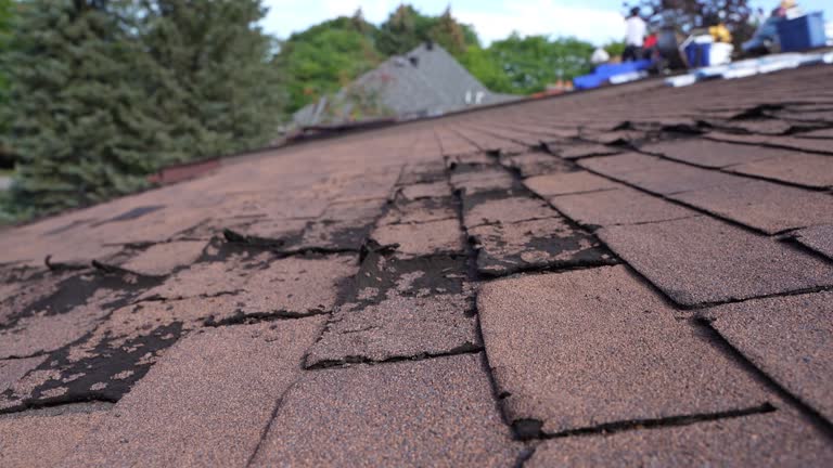 Best Gutter Installation and Repair  in Ocean Bluff Brant Rock, MA