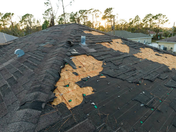 Best Solar Panel Roofing Installation  in Ocean Bluff Brant Rock, MA