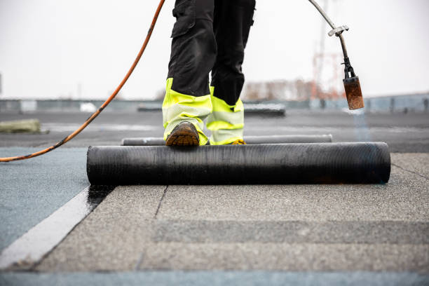Best Roof Maintenance and Cleaning  in Ocean Bluff Brant Rock, MA