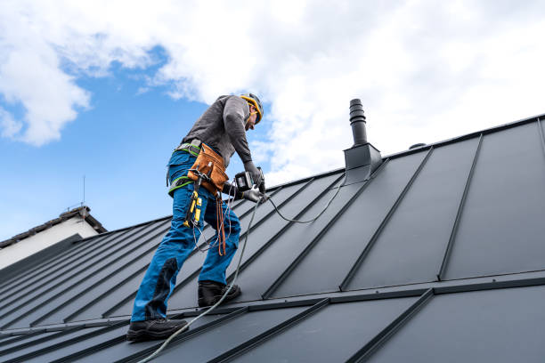 Best Roof Moss and Algae Removal  in Ocean Bluff Brant Rock, MA
